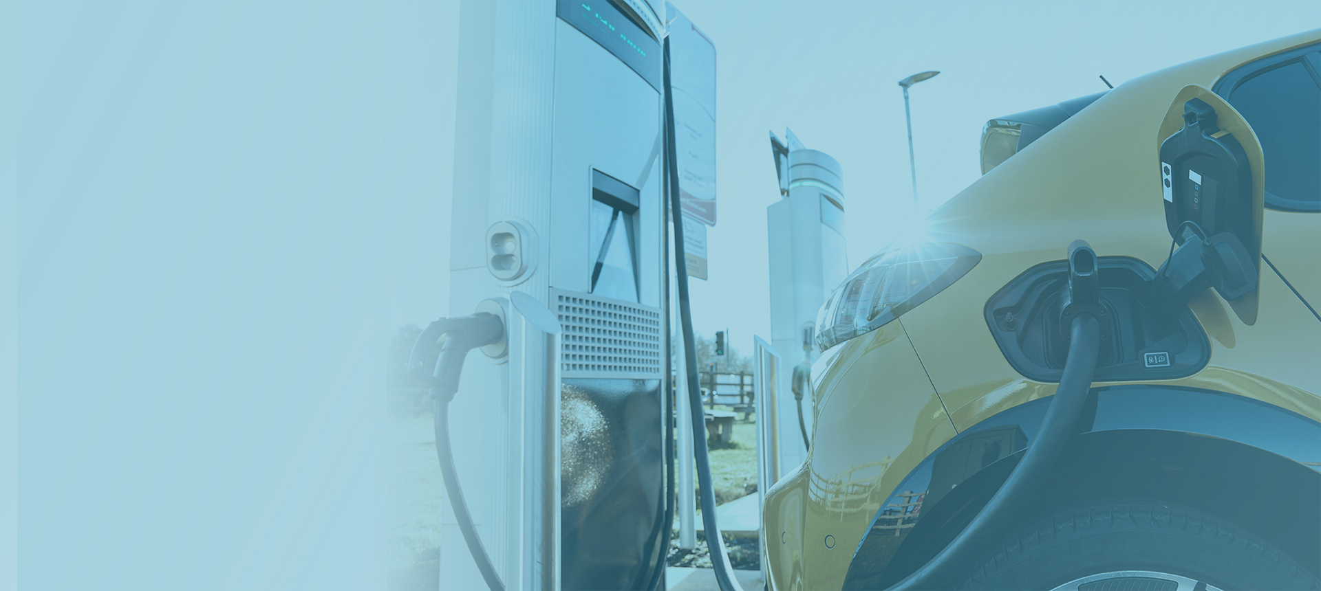 Video camera at Bradley Lake